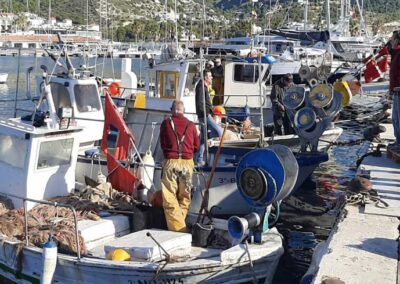 Visita al Puerto Pesquero de Vilanova i la Geltrú